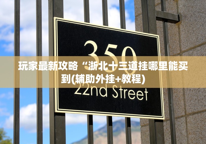 玩家最新攻略“浙北十三道挂哪里能买到(辅助外挂+教程)