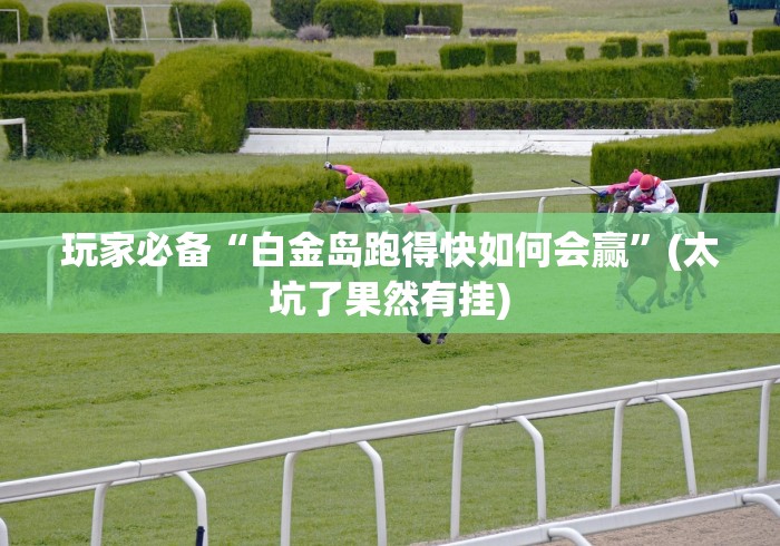 玩家必备“白金岛跑得快如何会赢”(太坑了果然有挂)