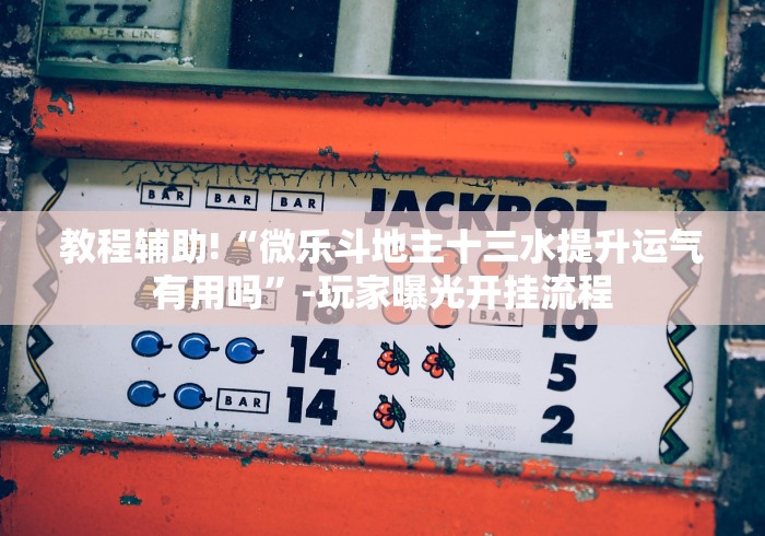 教程辅助!“微乐斗地主十三水提升运气有用吗”-玩家曝光开挂流程