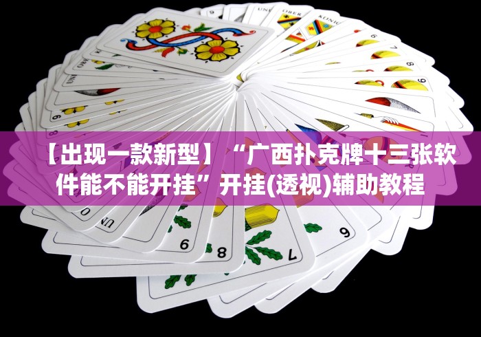 【出现一款新型】“广西扑克牌十三张软件能不能开挂”开挂(透视)辅助教程 【出现一款新型】“广西扑克牌十三张软件能不能开挂”开挂(透视)辅助教程