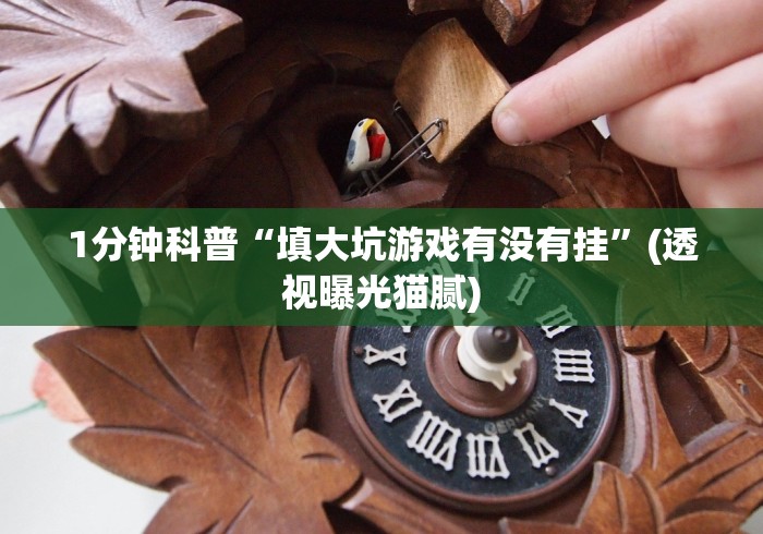 1分钟科普“填大坑游戏有没有挂”(透视曝光猫腻)